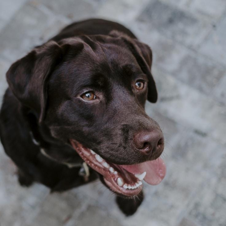 Alexandra Patel testimonial